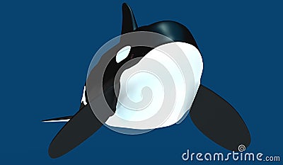 A model of a stylized killer whale. 3D illustration. Cartoon Illustration