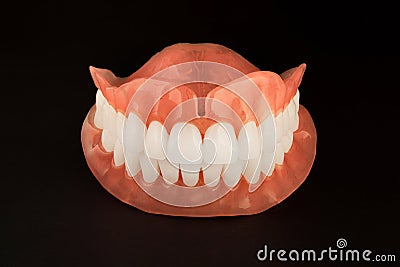 Model of teeth. Dentures close-up on a black background isolate. Stock Photo