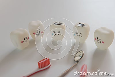 Model toys teeth in dentistry on a white background. Stock Photo