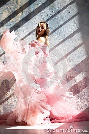 Pink swan dress, frozen moment Stock Photo