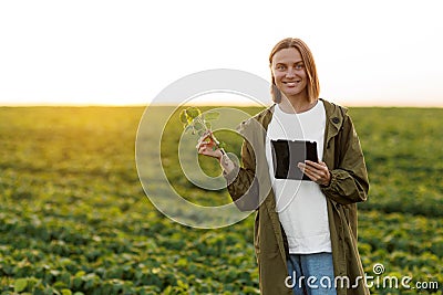 Modern agribusiness. Female farmer holds digital tablet and soya plant in hand in field, examines, checks, Smart farming Stock Photo