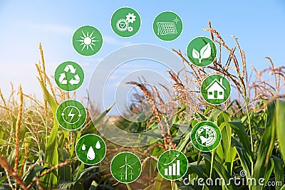 Modern agriculture. Icons and field on background Stock Photo