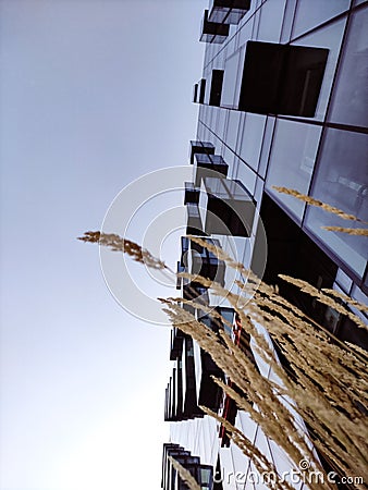 Modern architecture geometry. City buildings abstract background. Hi-tech and future. Stock Photo