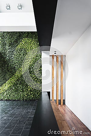 Modern architecture minimal style interior with vertical garden Stock Photo