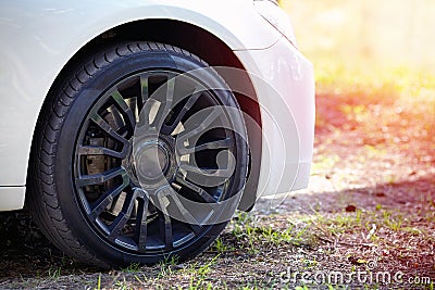 Modern auto wheel of car with beautiful black alloy disc and fresh rubber tread on rustic forest road with green grass on sunset Stock Photo
