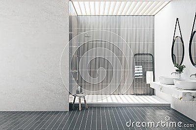 Modern bathroom interior with empty mock up place on wall, two mirrors, decorative plant, shower and other items. Lifestyle, hotel Stock Photo