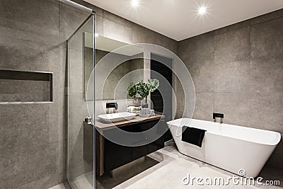 Modern bathroom with a shower area and bathtub Stock Photo