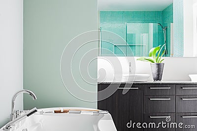 Modern Bathroom using soft Green Pastel Colors Stock Photo