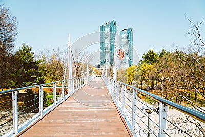 Seoul forest park, modern bridge and spring nature landscape in Korea Editorial Stock Photo