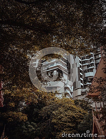 Modern building and Buddhist temple and Nature can coexist perfectly Stock Photo