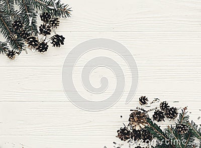 Modern christmas layout with green fir branches and golden pine Stock Photo