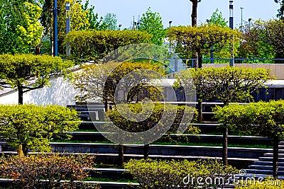 Modern city park with with different trees. Public relax place in big city Stock Photo