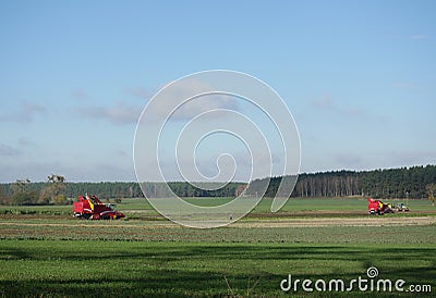 Harvesters harvest of sugar beet Stock Photo