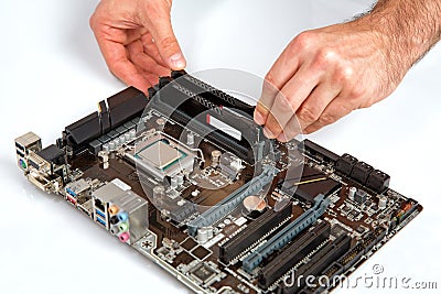 Modern computer mother board assembly, memory installation. Stock Photo