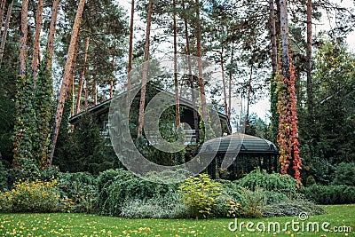 modern country house with alcove, green trees Stock Photo