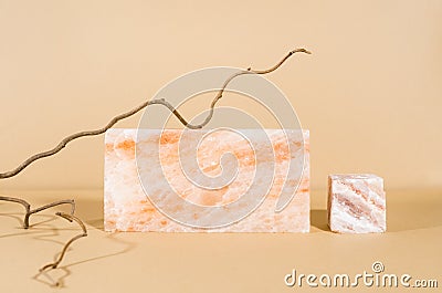 Modern creative still life with dried tree branches and marble stone. Autumn concept.Minimalism, product display, copy space Stock Photo