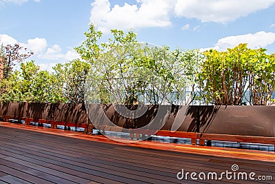 Modern exterior hardwood deck with natural balcony plants in pots privacy plantings Stock Photo