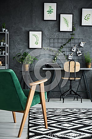 Modern flat with plants Stock Photo