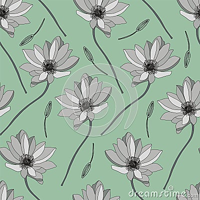 Modern floral pattern. Wildflowers pattern. Light green background, white flowers. Adonis, Echinacea, Chamomile. Vector Vector Illustration