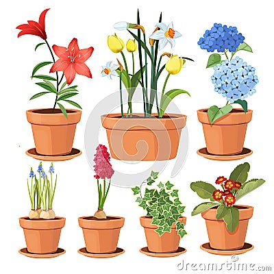 Modern flower pots. Colored decorative plants tree tulip vector illustrations Vector Illustration