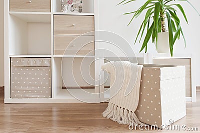 Modern furniture, white shelves Stock Photo