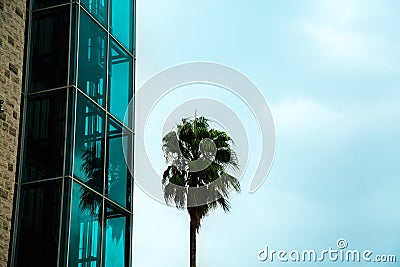 Modern glass building against blue sky. Abstract detail contemporary architecture. Stock Photo