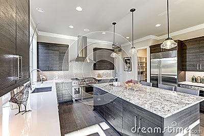 Modern gray kitchen features dark gray flat front cabinets Stock Photo