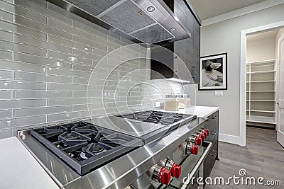 Modern gray kitchen features steel stove with a hood Stock Photo