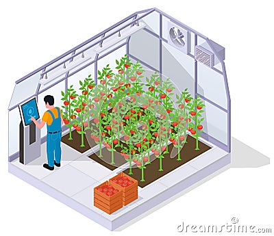 Modern Greenhouse Isometric Concept Vector Illustration