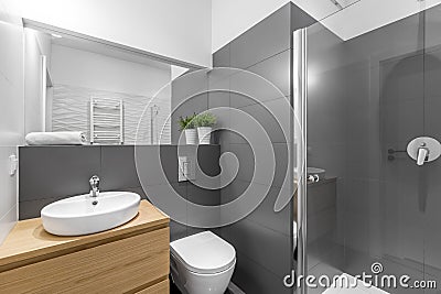 Modern grey bathroom with shower Stock Photo