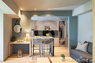 Modern grey and wooden interior of small studio apartment. Front view of hotel flat room witn kitchen, living, bedroom in single Stock Photo