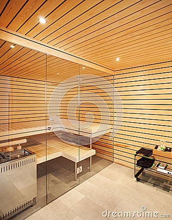 Modern house interior, sauna Stock Photo