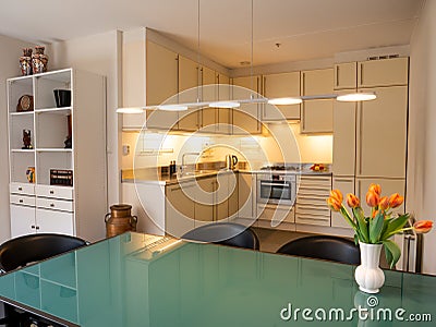 Modern house open plan kitchen diner dining room with dining table, Netherlands Editorial Stock Photo