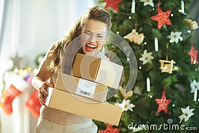 Modern housewife near Christmas tree catching parcels Stock Photo