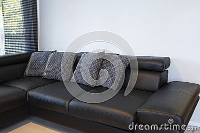 Modern interior of living room with comfortable black leather sofa Stock Photo