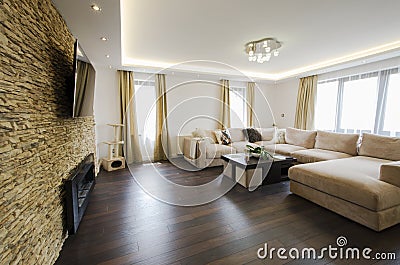 Modern interior of a living room with fireplace and TV Stock Photo
