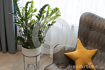 Modern interior in neutral colors, details. Geometric armchair with pillow in shape of star, rest area, potted plant. Children`s Stock Photo