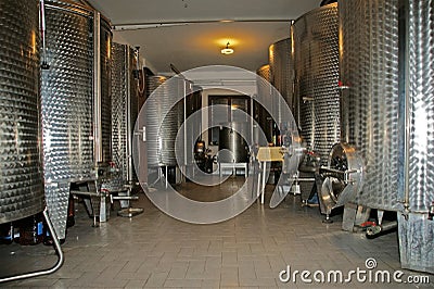 Modern interior Winery for wine grapes Stock Photo