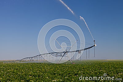 Modern Irrigation Pivot Stock Photo