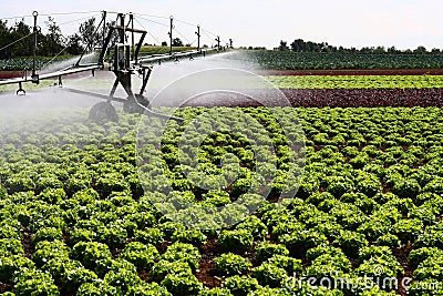 Modern irrigation system Stock Photo