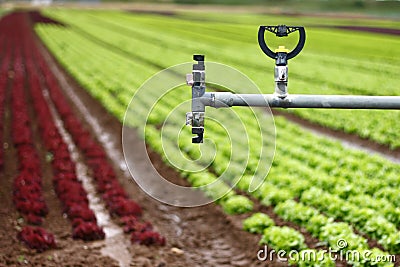 Modern irrigation system - details Stock Photo