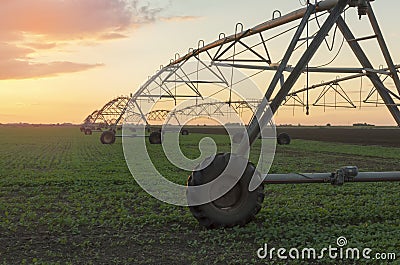 Modern irrigation system on a farm field at sunset. Stock Photo