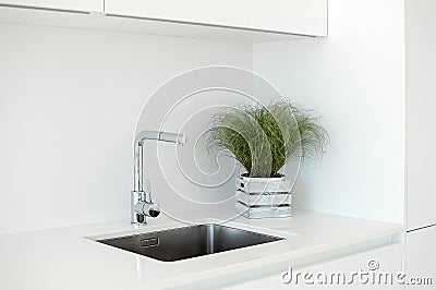 Modern kitchen sink and faucet with decorative flowers. Stock Photo