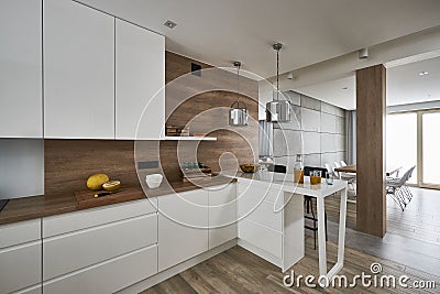 Modern kitchen with white and brown walls Editorial Stock Photo