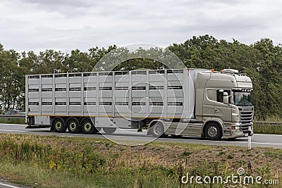 Modern livestock transporter on its way to the slaughterhouse Stock Photo