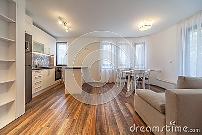 New modern living room with kitchen. New home. Interior photography. Wooden floor. Stock Photo