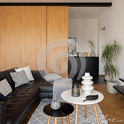 Modern living room with wooden, sliding doors Stock Photo