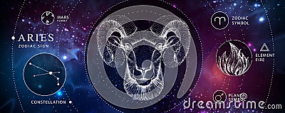 Modern magic witchcraft card with astrology Aries zodiac sign. Realistic hand drawing ram or mouflon head. Zodiac characteristic Vector Illustration