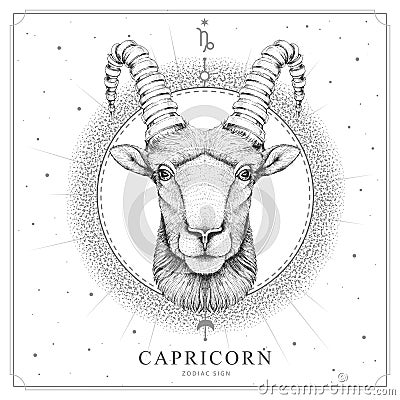 Modern magic witchcraft card with astrology Capricorn zodiac sign. Realistic hand drawing ram or mouflon head Vector Illustration