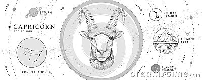 Modern magic witchcraft card with astrology Capricorn zodiac sign. Realistic hand drawing ram or mouflon head. Vector Illustration